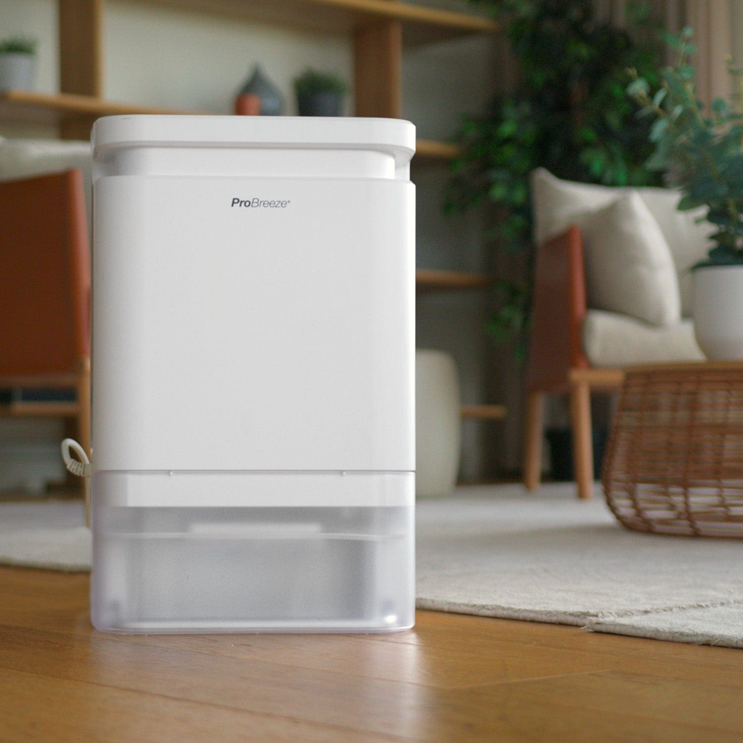 Deumidificatore per climi freddi da 10 litri con umidostato incorporato