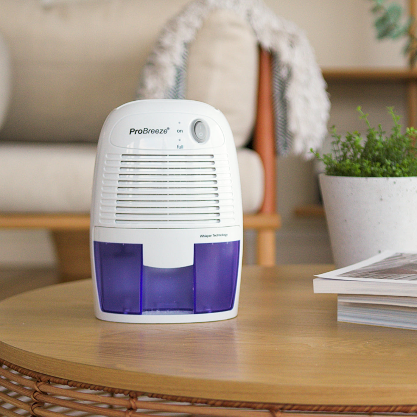 Small & Mini Dehumidifiers