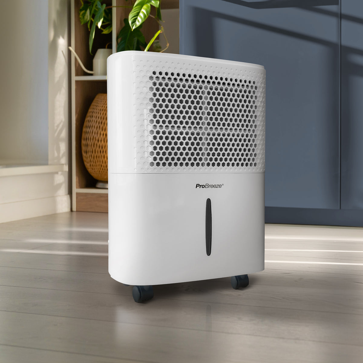 12L Dehumidifier with Built-in Humidistat