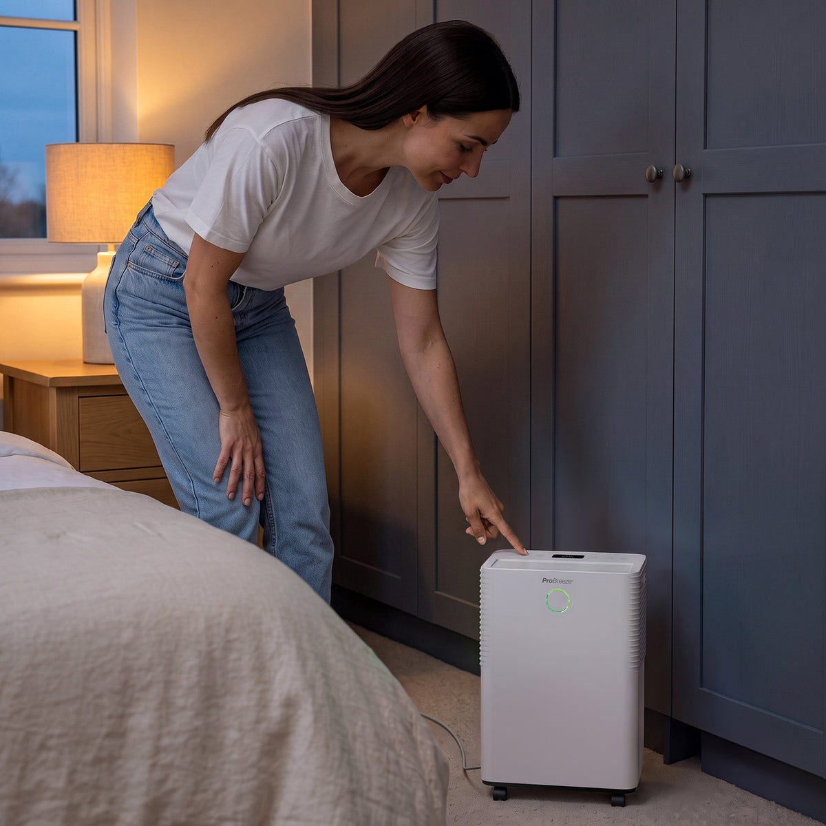 <tc>OmniDry 10L Déshumidificateur Silencieux, Compact, Économe en Espace et à Faible Consommation d'Énergie avec Mode Linge</tc>