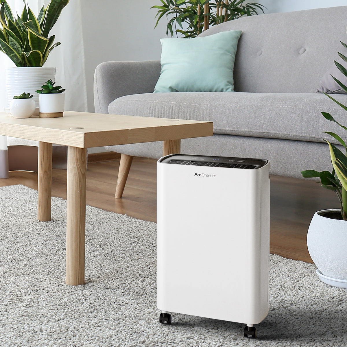 6L Compact Dehumidifier