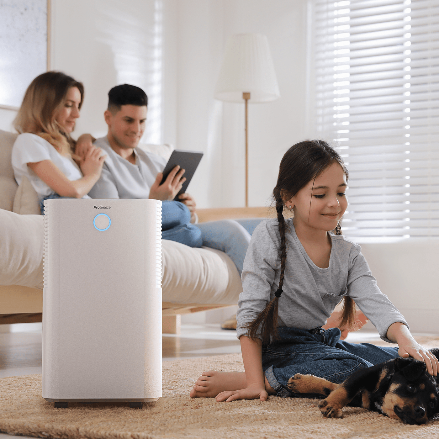 Déshumidificateur basse consommation 12 L avec hygrostat intégré